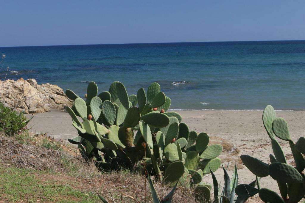 Residence Il Borgo Di Porto Corallo Villaputzu Eksteriør billede